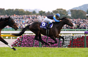 Tenno Sho (Autumn) (G1)