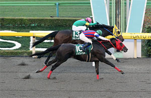 Tokyo Chunichi Sports Hai Musashino Stakes (G3)