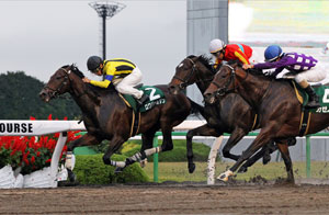 Miyako Stakes (G3)