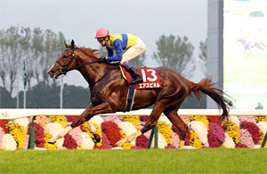 Daily Hai Nisai Stakes (G2)