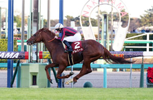 Sports Nippon Sho Stayers Stakes (G2)