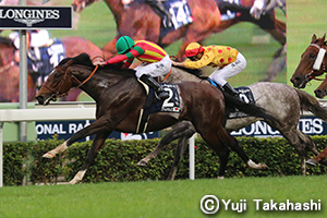 Maurice in the 2015 Hong Kong Mile