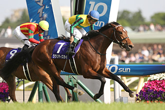 Clarity Sky in the 2015 NHK Mile Cup