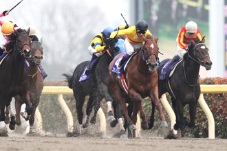 Copano Rickey in the 2015 February Stakes