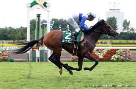 Lord Quest in the 2015 Niigata Nisai Stakes