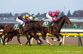 Smart Odin in the 2015 Tokyo Sports Hai Nisai Stakes