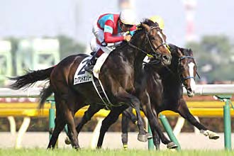 One and Only in the 2014 Tokyo Yushun