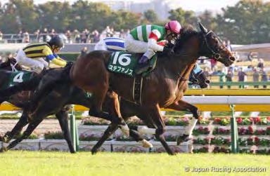 Staphanos in the 2014 Fuji Stakes