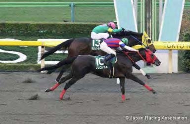 Nonkono Yume in the 2015 Musashino Stakes