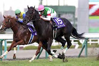 Leontes in the 2015 Asahi Hai Futurity Stakes