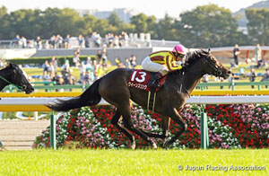 Queens Ring in the Fuchu Himba Stakes