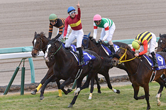 Gold Actor in the 2015 Arima Kinen