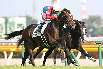 One and Only in the 2014 Tokyo Yushun
