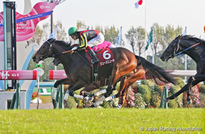 Daily Hai Nisai Stakes (G2)