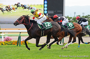 Hakodate Nisai Stakes (G3)
