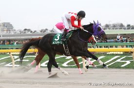 Kafuji Take in the 2017 Negishi Stakes