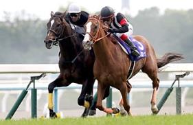 Curren Mirotic (right) in the 2016 Tenno Sho (Spring)