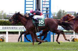 Solveig in the 2016 Hakodate Sprint Stakes