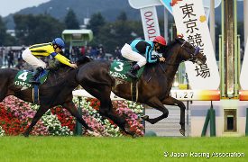 Young Man Power in the  2016 Fuji Stakes