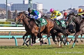Tosen Victory in the 2017 Nakayama  Himba Stakes
