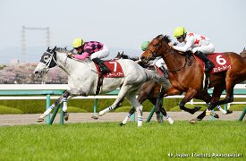 Smart Layer in the 2016 Hanshin  Himba Stakes