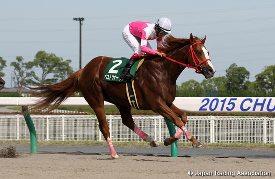 Best Warrior in the  2015 Procyon Stakes