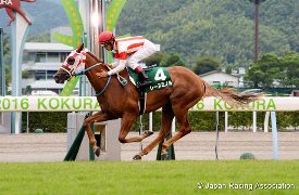Reine Minoru in the  2016 Kokura Nisai Stakes