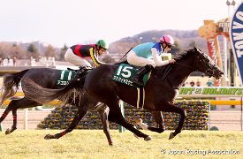Admire Miyabi in the  2017 Queen Cup