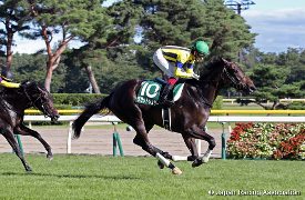 Vous Etes Jolie in the  2016 Niigata Nisai Stakes