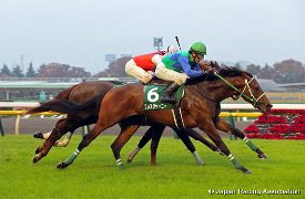 Bless Journey in the 2016 Tokyo  Sports Hai Nisai Stakes