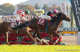Monde Can Know in the  2016 Keio Hai Nisai Stakes