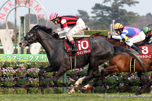 Fuji TV Sho Spring Stakes (Japanese 2,000 Guineas Trial) (G2)