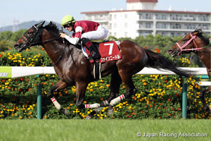 Sankei Sho Centaur Stakes (G2)