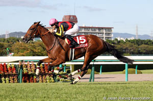  Kansai Telecasting Corp. Sho Rose Stakes (Shuka Sho Trial) (G2)