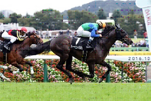 Tosen Basil in the 2016 October Stakes