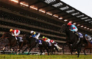 Last Impact (right) in the 2015 Japan Cup