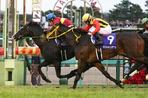 Sounds of Earth (right) in the 2015 Arima Kinen