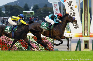 Fuji Stakes (G3)