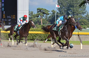 Leopard Stakes (G3)