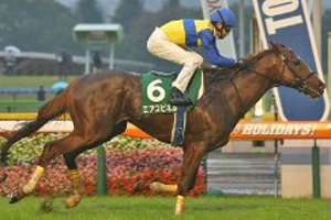 Air Spinel in the 2017 Fuji Stakes