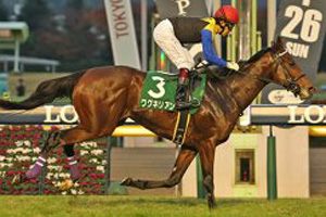 Wagnerian in the 2017 Tokyo  Sports Hai Nisai Stakes