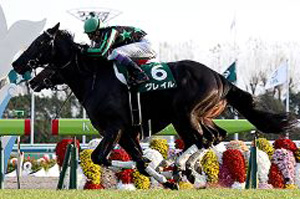 Grail in the  2017 Kyoto Nisai Stakes