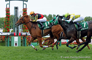Sapporo Nisai Stakes (G3)