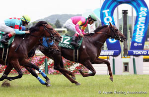 Epsom Cup (G3)