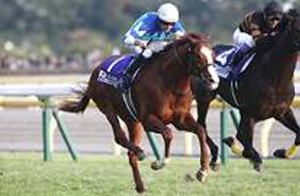 Cheval Grand in the 2017 Japan Cup