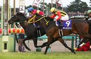 Sounds of Earth (right) in the 2015 Arima Kinen
