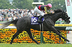 Aerolithe in the 2017 NHK Mile Cup