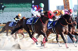 Nonkono Yume in the 2018 February Stakes
