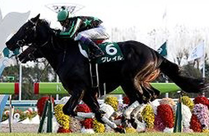 Grail in the 2017 Kyoto Nisai Stakes