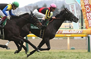 Chrono Genesis in the 2019 Queen Cup